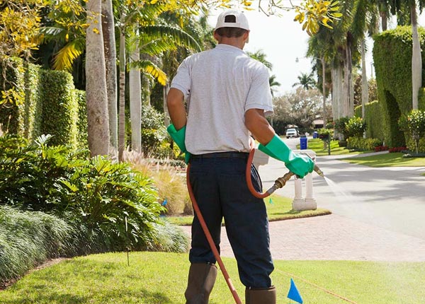 About Riverdale IL Pest Control